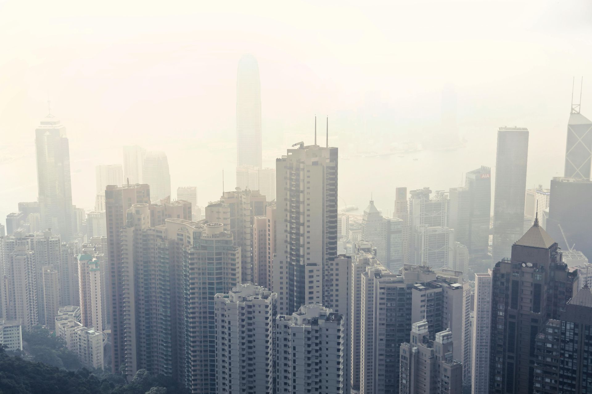 Smog Service